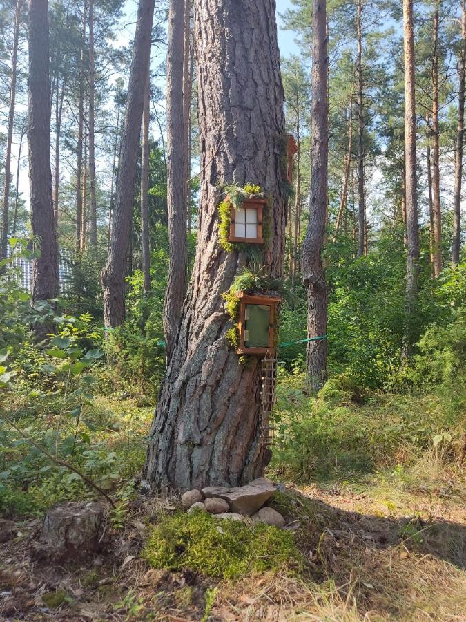 Domki Przy Lipowej 14 Luka Exteriér fotografie