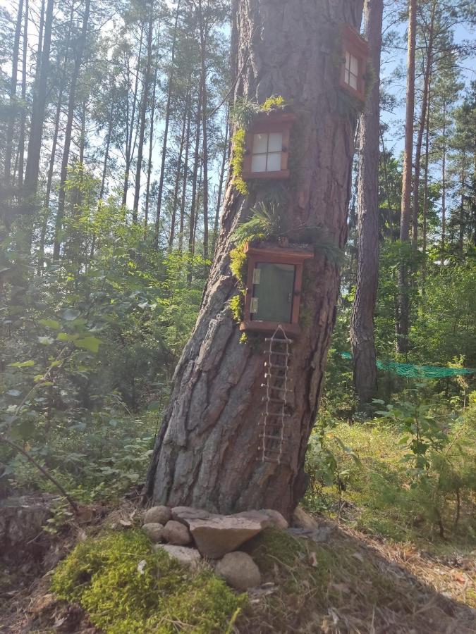 Domki Przy Lipowej 14 Luka Exteriér fotografie
