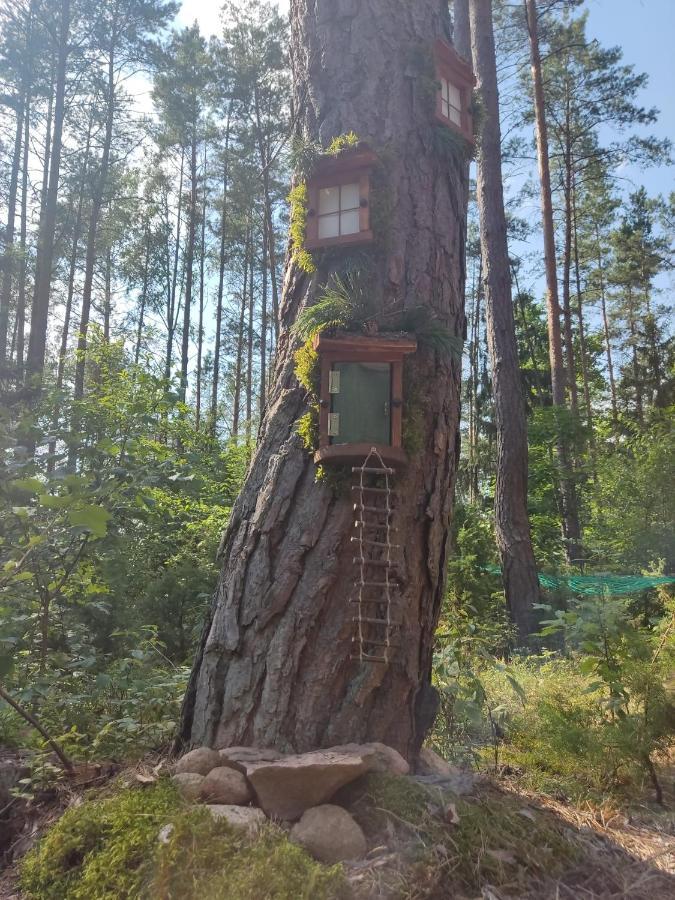Domki Przy Lipowej 14 Luka Exteriér fotografie